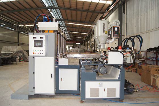 CE SGS 2 Stations Shoe Sole Making Machine 2 Color 2 Years Gurantee